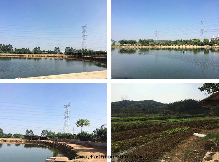 公(gōng)司聚餐 公(gōng)司聚餐